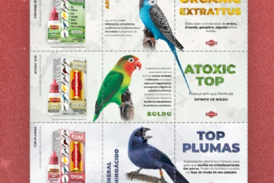 Imagem de Conheça o Instagram da Rações Super Top: Dicas, promoções e tudo sobre alimentação saudável para pet